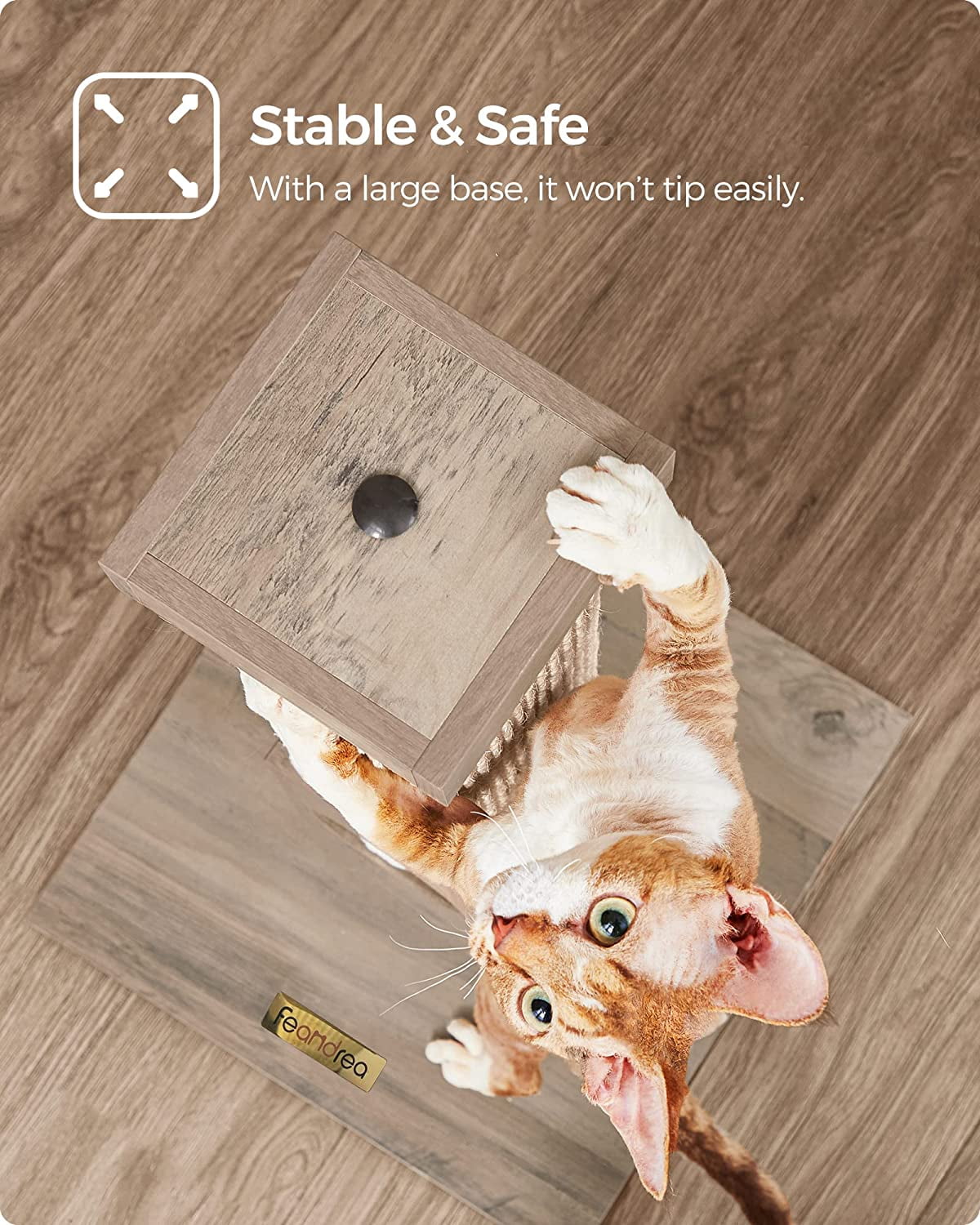 28.7" Greige Indoor Cat Scratching Post