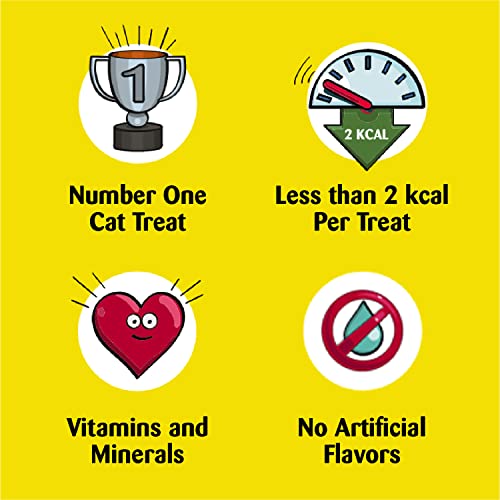 Tempting Chicken Treats for Cats - 30 oz