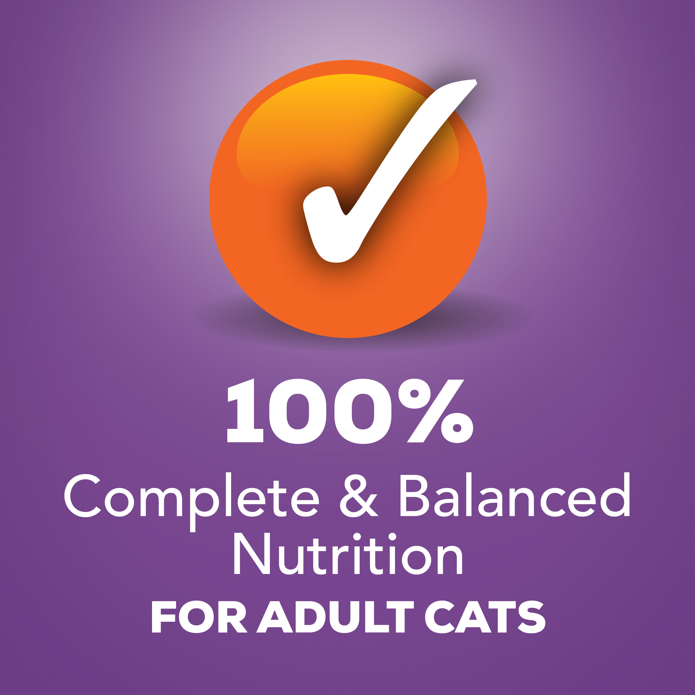 Friskies Turkey Pate for Cats, 5.5 oz