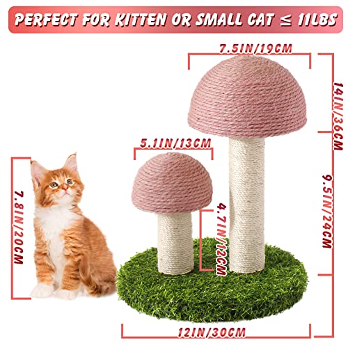 Pink Mushroom Cat Scratching Post for Kittens