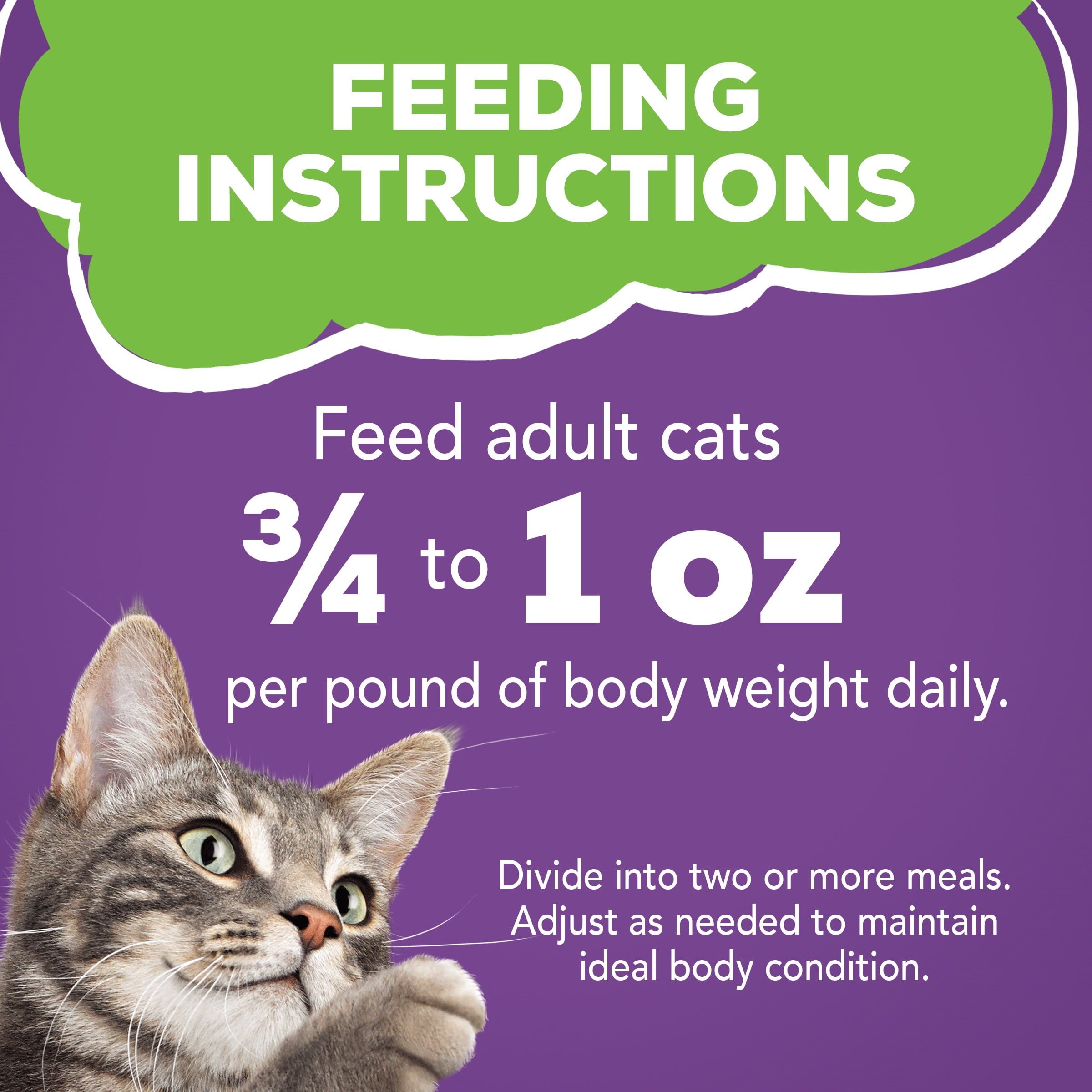 Friskies Turkey Pate for Cats, 5.5 oz