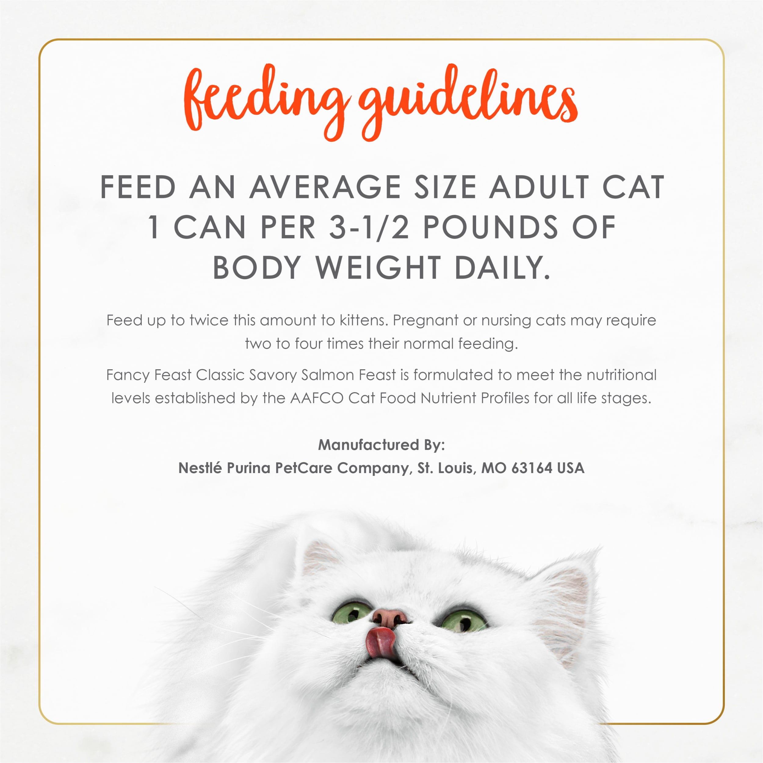 Salmon Pate Wet Cat Food - 3oz