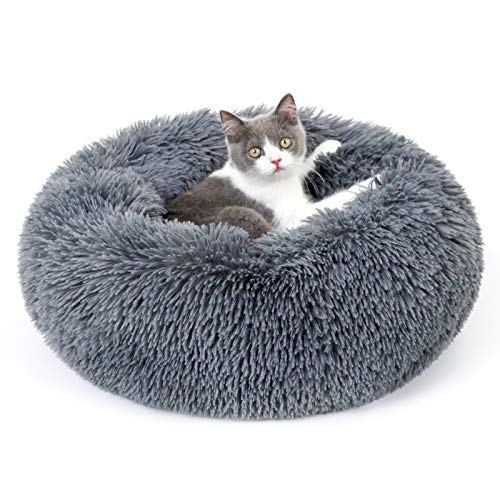 rabbitgoo Fluffy Cat Bed for Indoors, Medium