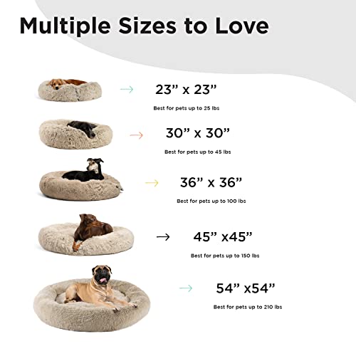 Sheri's Calming Donut Bed for Cats & Dogs