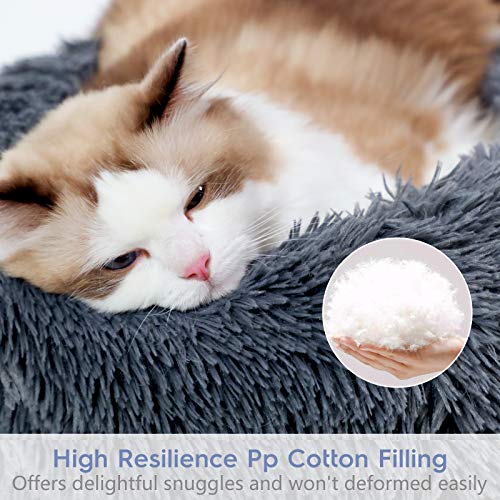 rabbitgoo Fluffy Cat Bed for Indoors, Medium