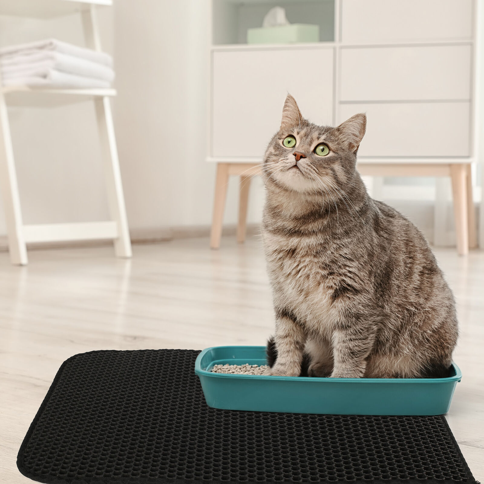 Waterproof Kitty Litter Mat with Double Layer