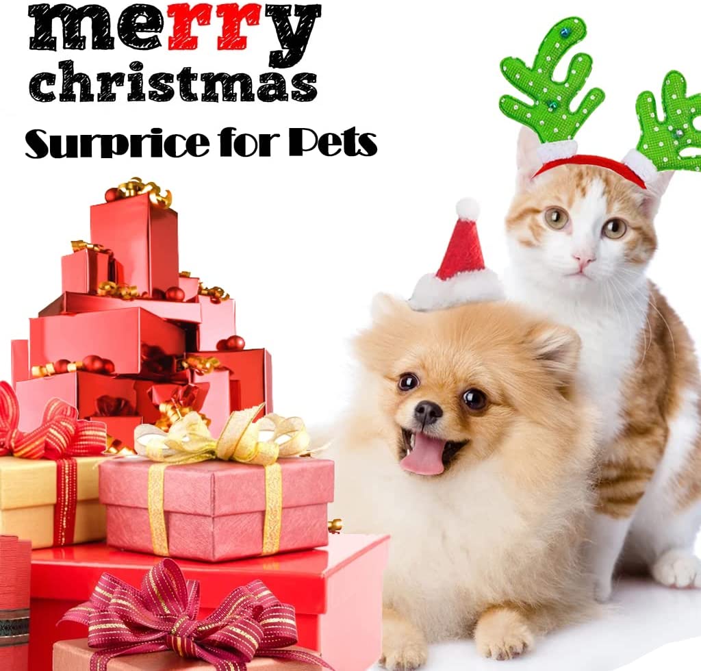 Cat Window Perch Hammock with Suction Cup