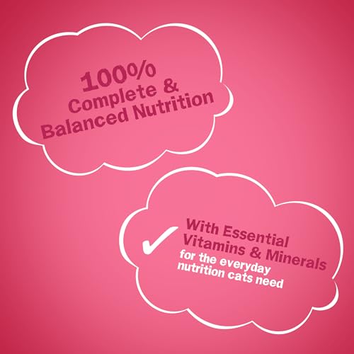 Gravy Swirlers Cat Food - 16 lb. Bag