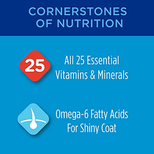 Purina High Protein Complete Cat Food (4 Bags)