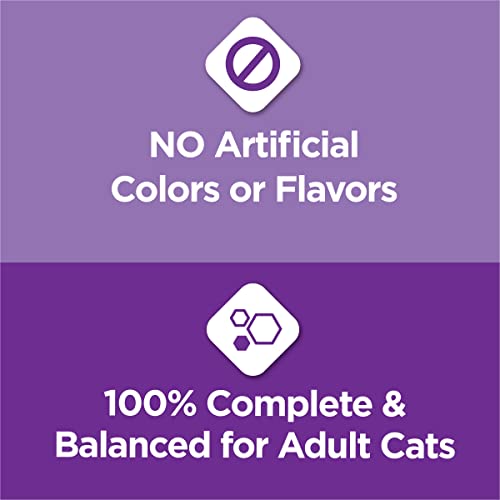 Purina Gentle Cat Food - Sensitive Stomach/Skin