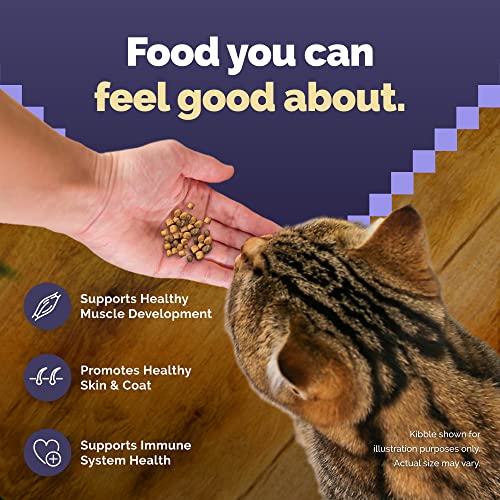 Blue Buffalo Wilderness Chicken Cat Food 12-lb