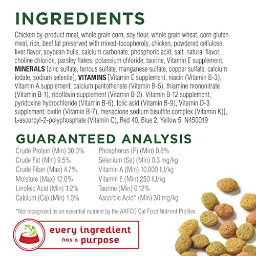 Indoor Cat Food for Health & Hairball Control