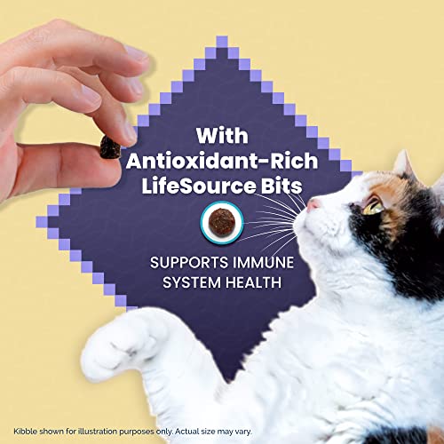 Blue Buffalo Wilderness Chicken Cat Food 12-lb