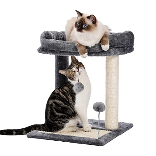 PAWZ Road Soft Perch Cat Scratching Post