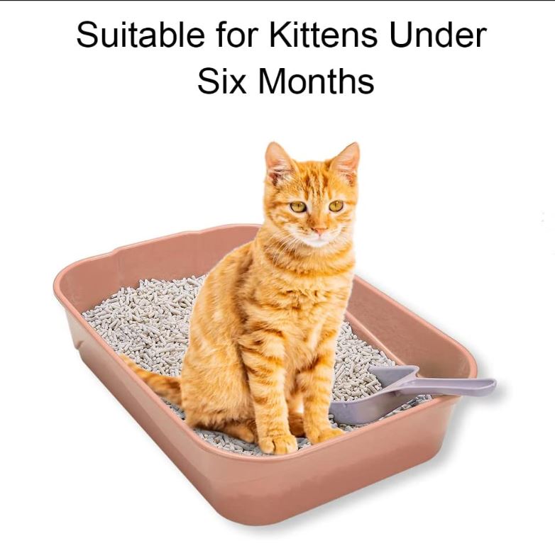 Small Kitten Litter Box Set