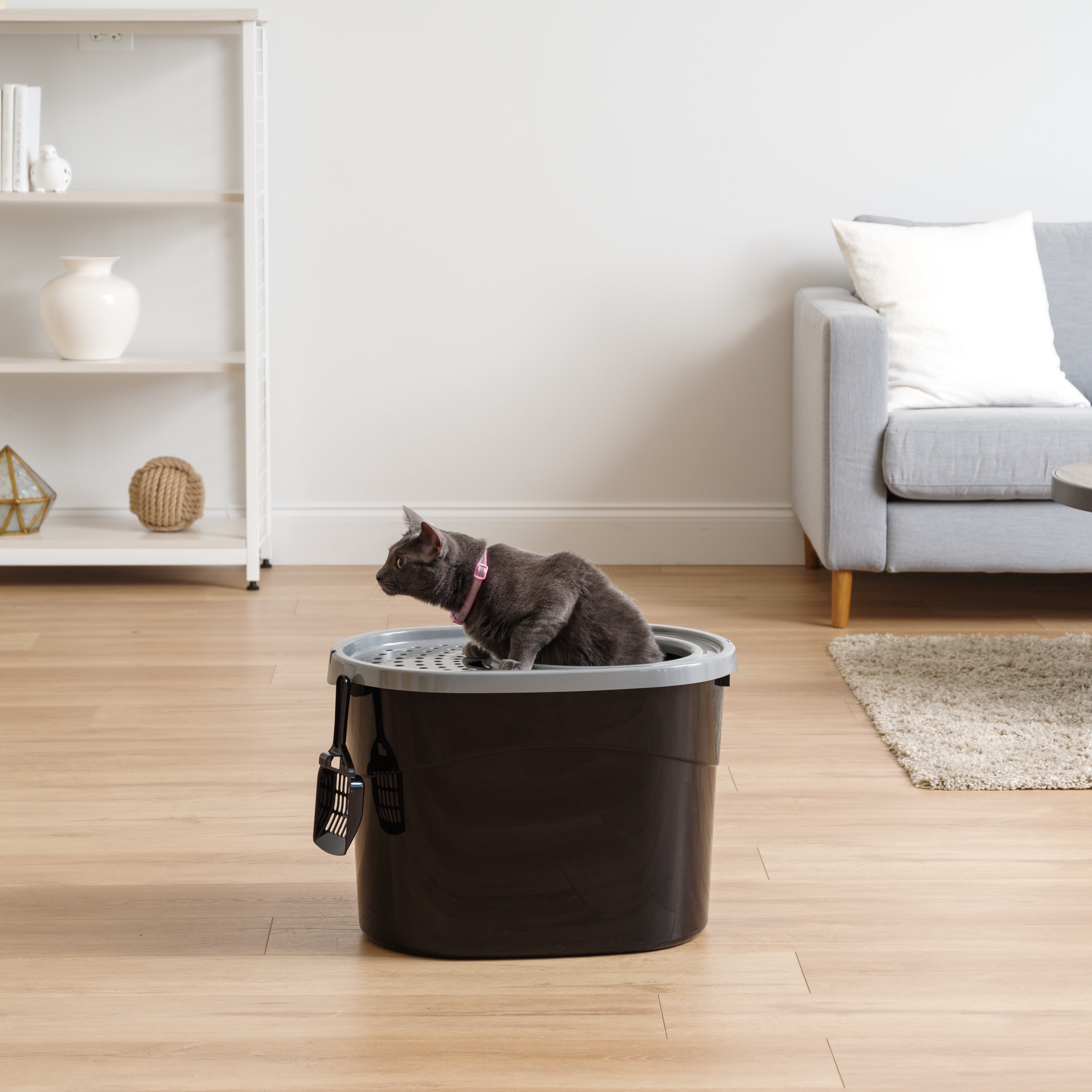 IRIS USA Top Entry Litter Box, Black/Gray