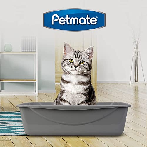 Extra Large Nonstick Cat Litter Box