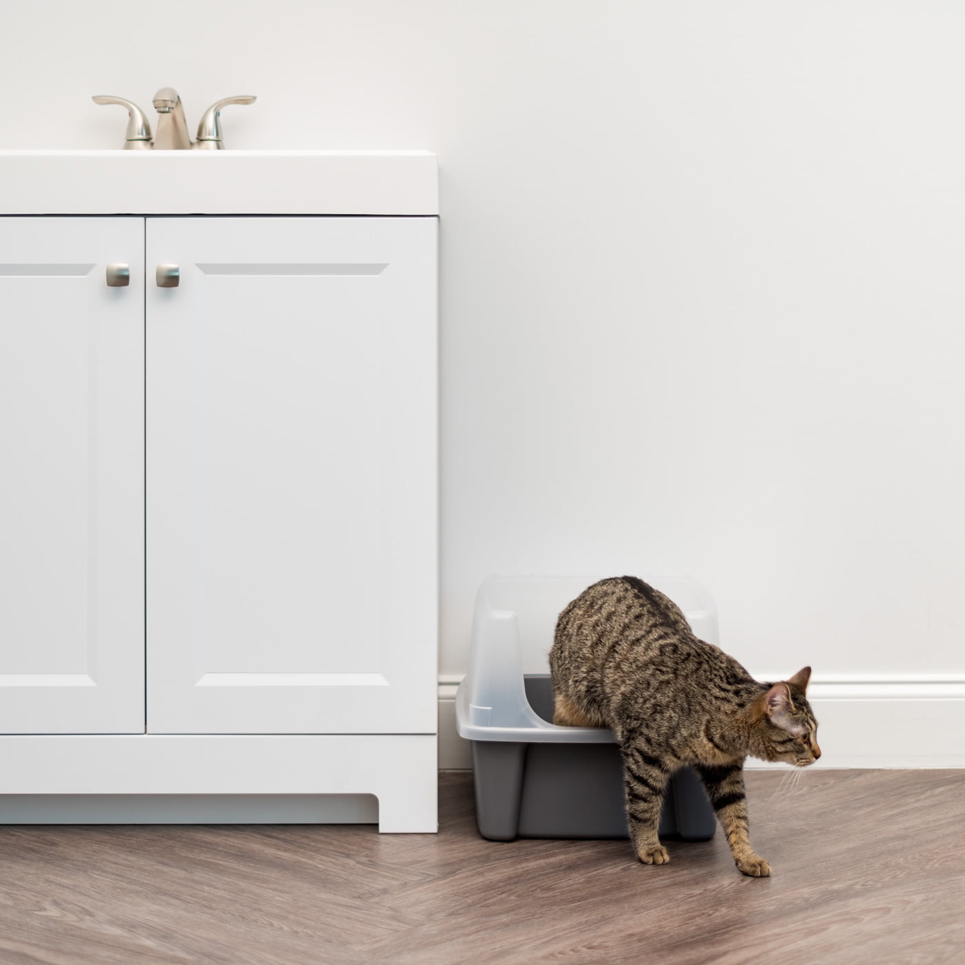 IRIS USA Gray Litter Box with Shield