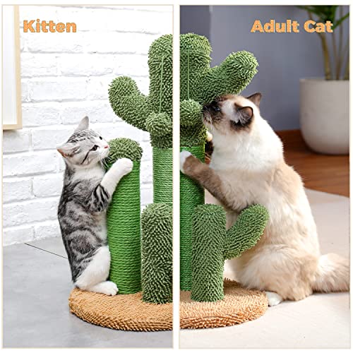 Cactus Cat Scratching Post with 3 Poles - Medium