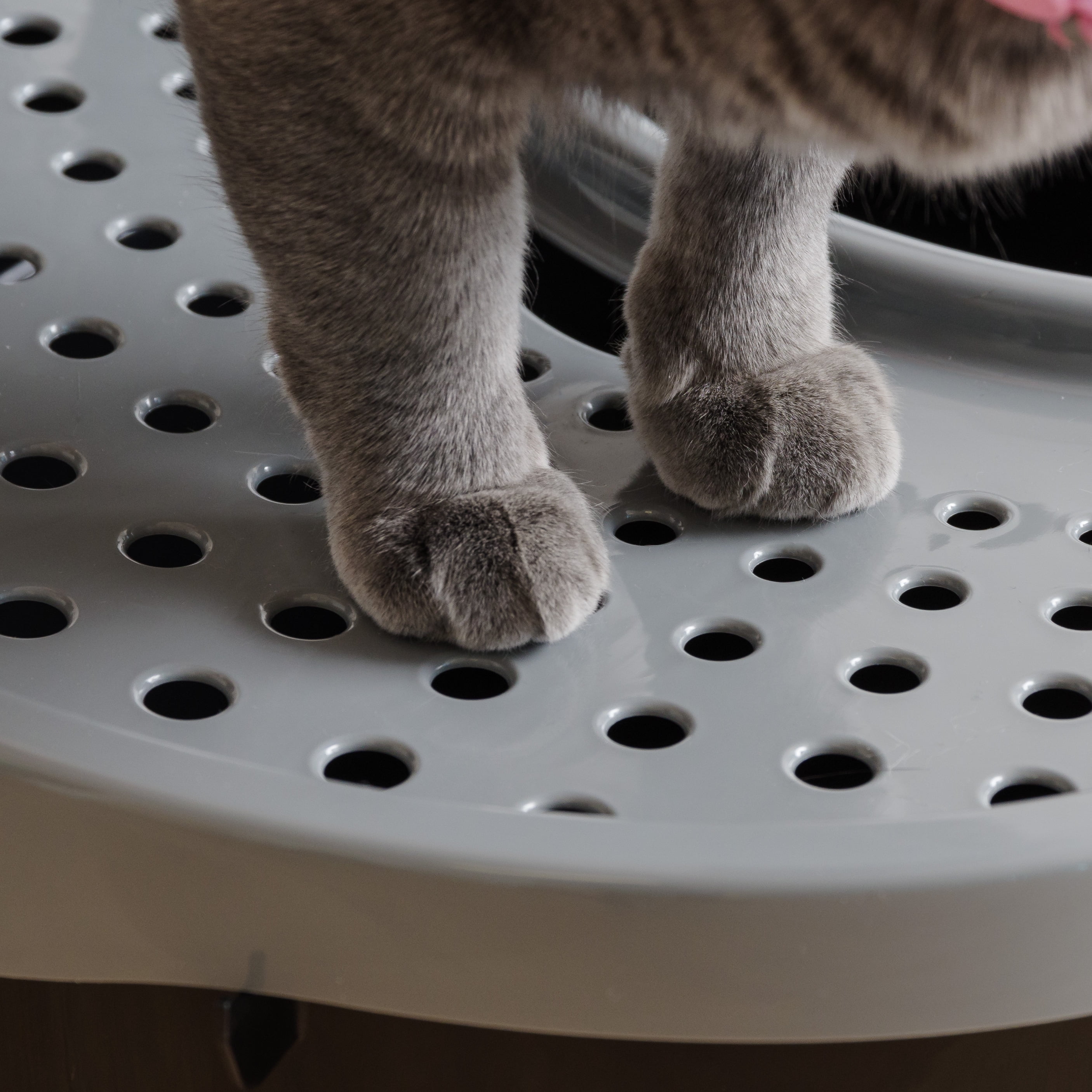 IRIS USA Top Entry Litter Box, Black/Gray