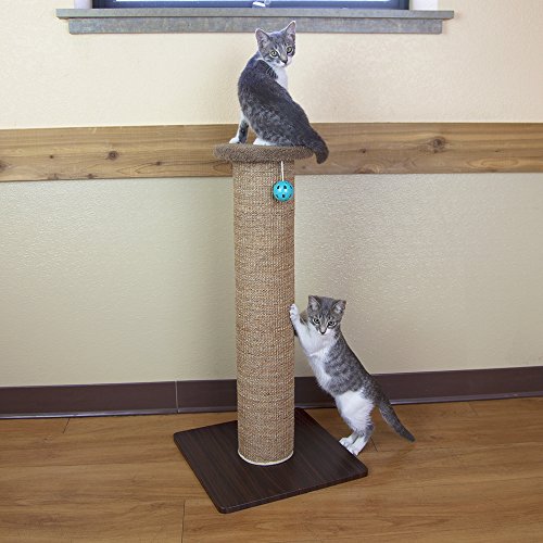 Kitty City Sisal Post Cat Scratchers and Cushion