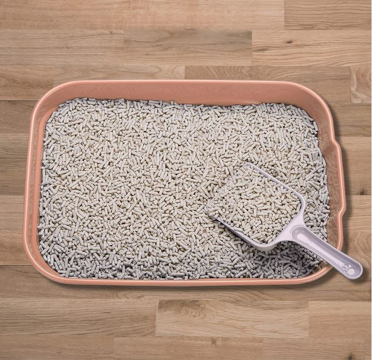 Small Kitten Litter Box Set