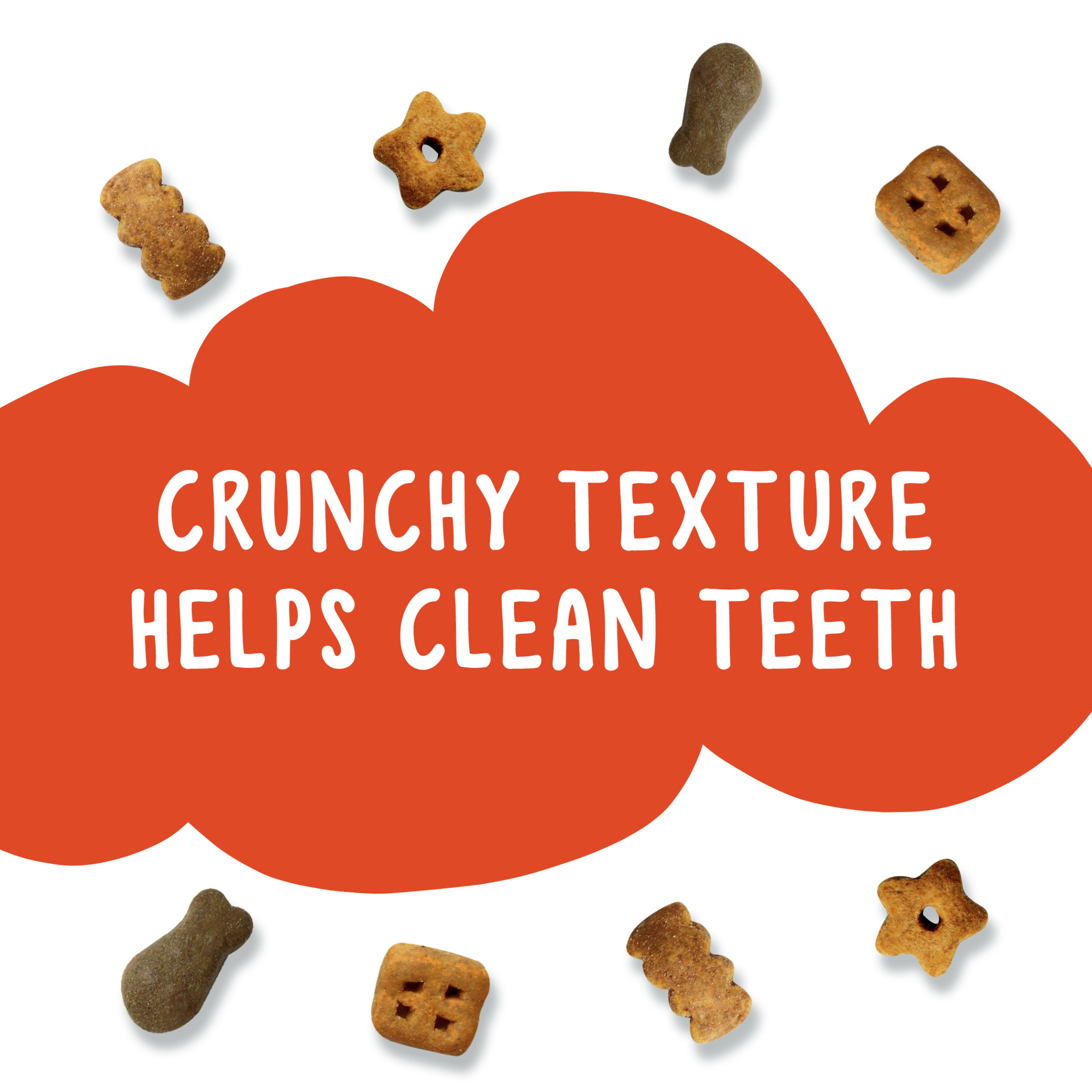 Chicken and turkey flavor cat treats - 30oz