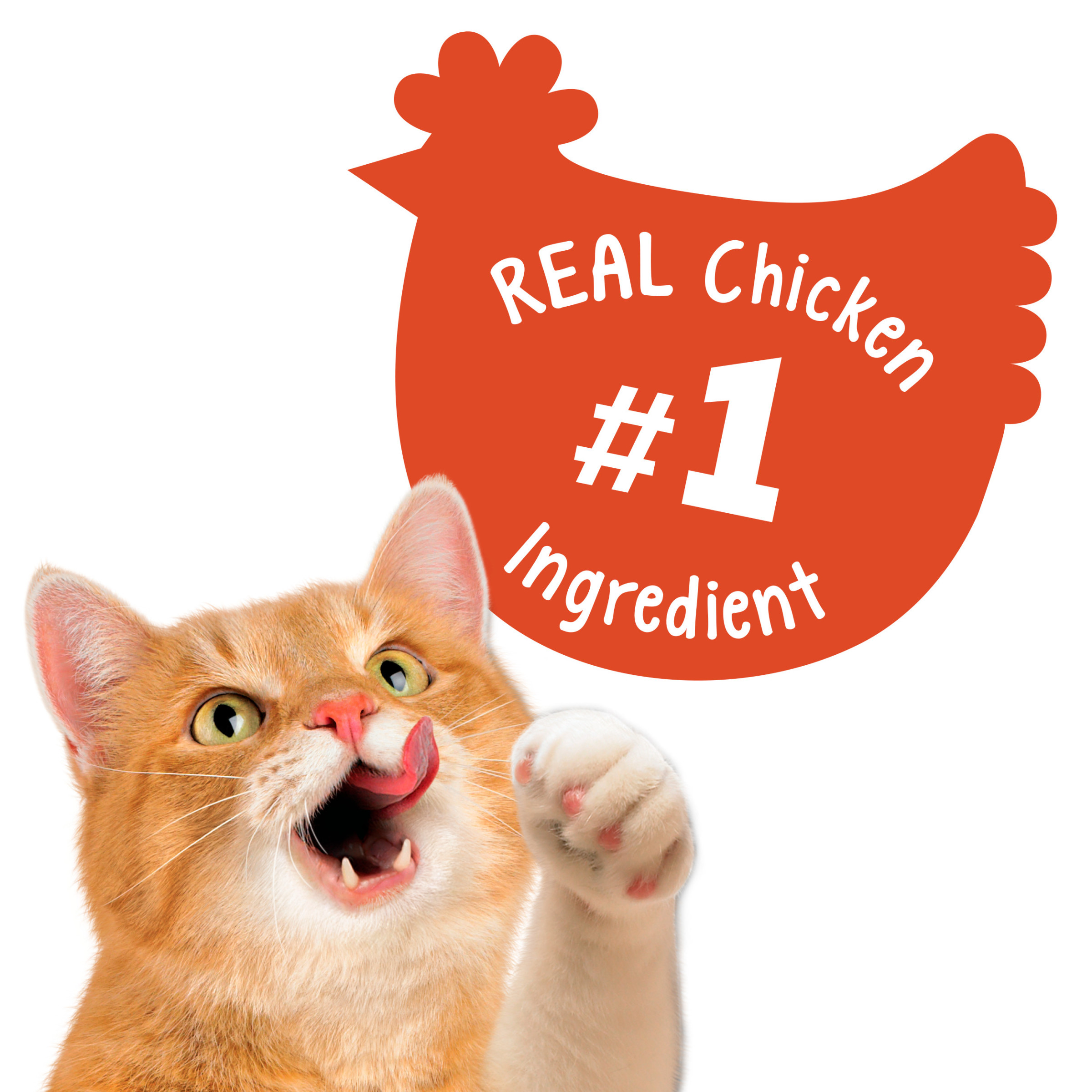Chicken and turkey flavor cat treats - 30oz