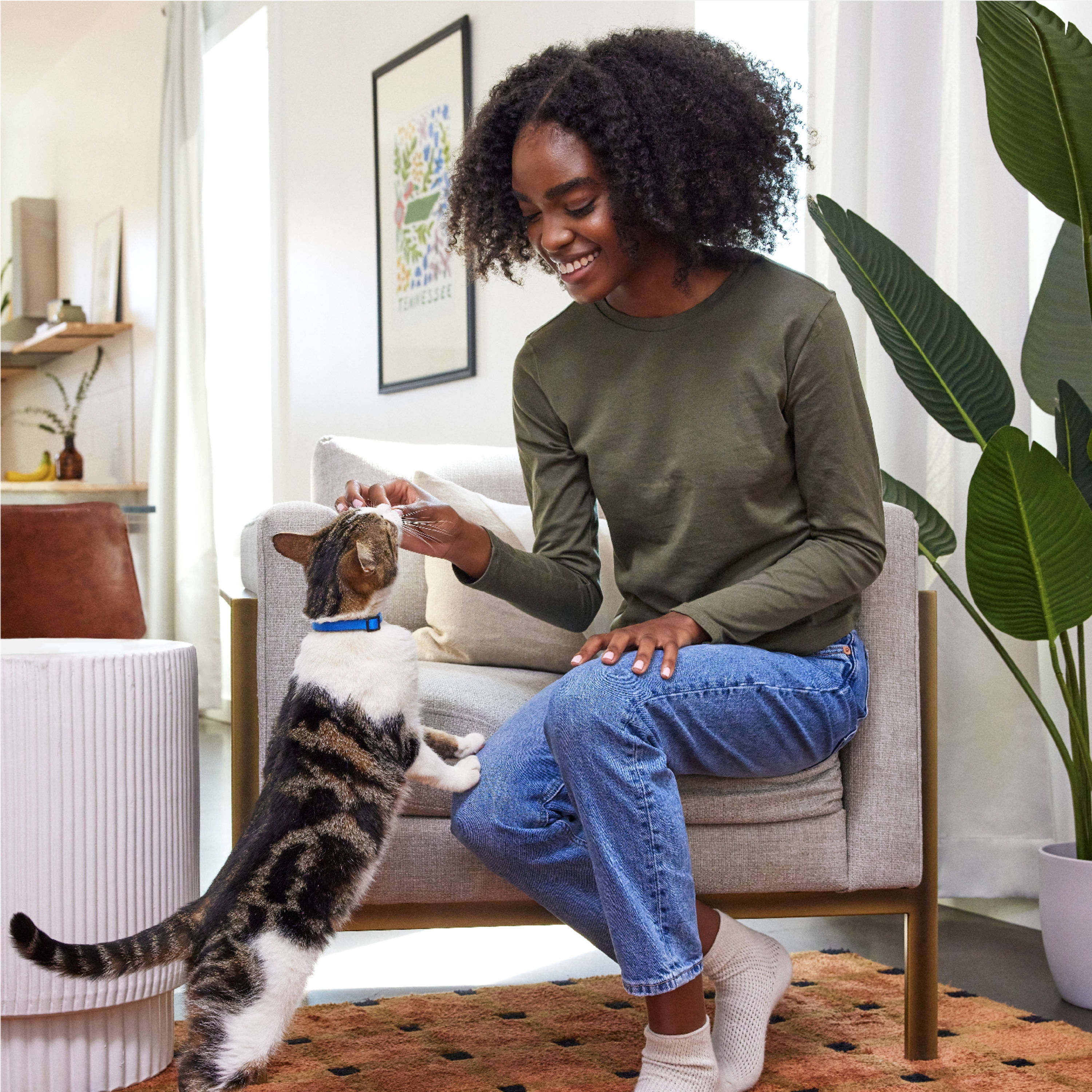 Backyard Cookout Cat Treats - 6.3 oz