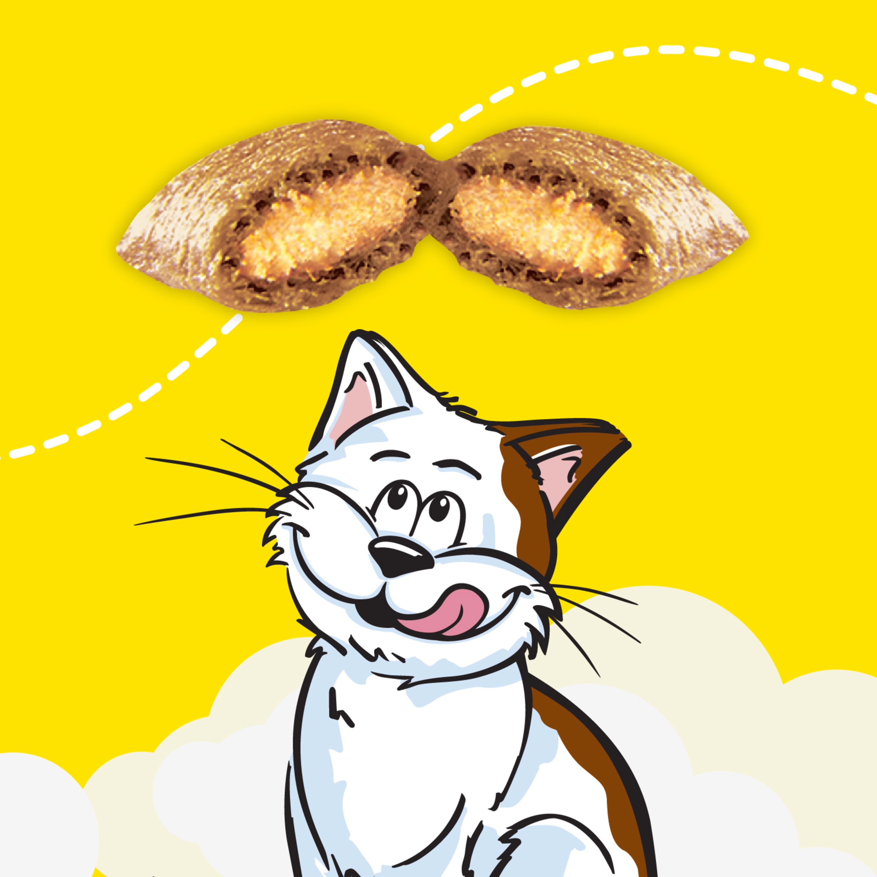 Crunchy & Soft Chicken Flavored Cat Treats