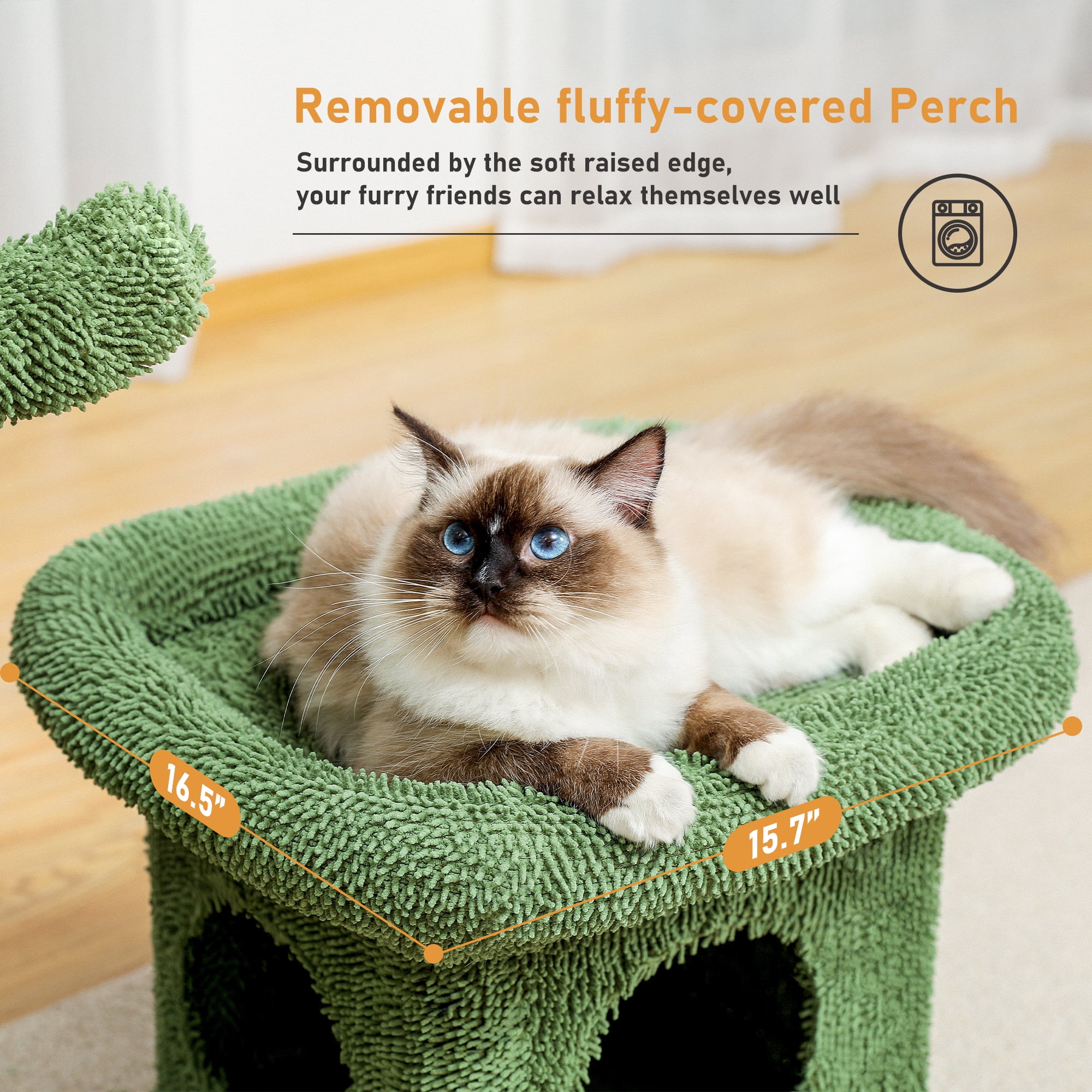 Cactus Cat Tree Condo for Small Cats