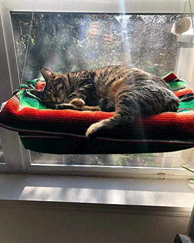 360° Sunbathe Cat Window Perch