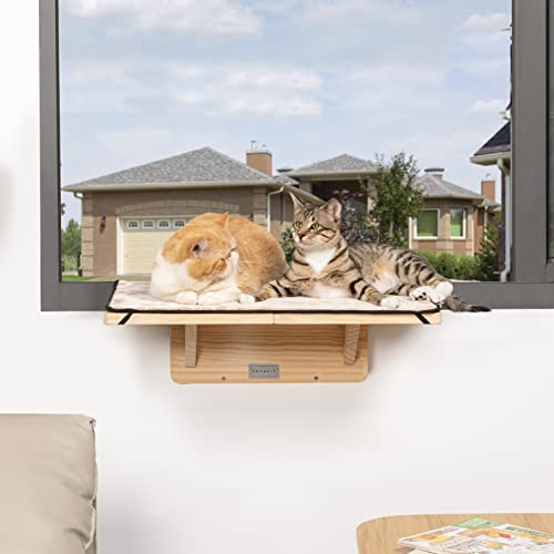 Double Cat Window Perch in Natural Wood