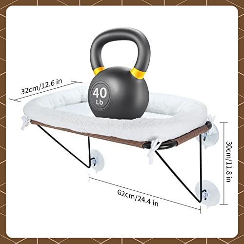 LSAIFATER Cat Window Perch with Metal Support