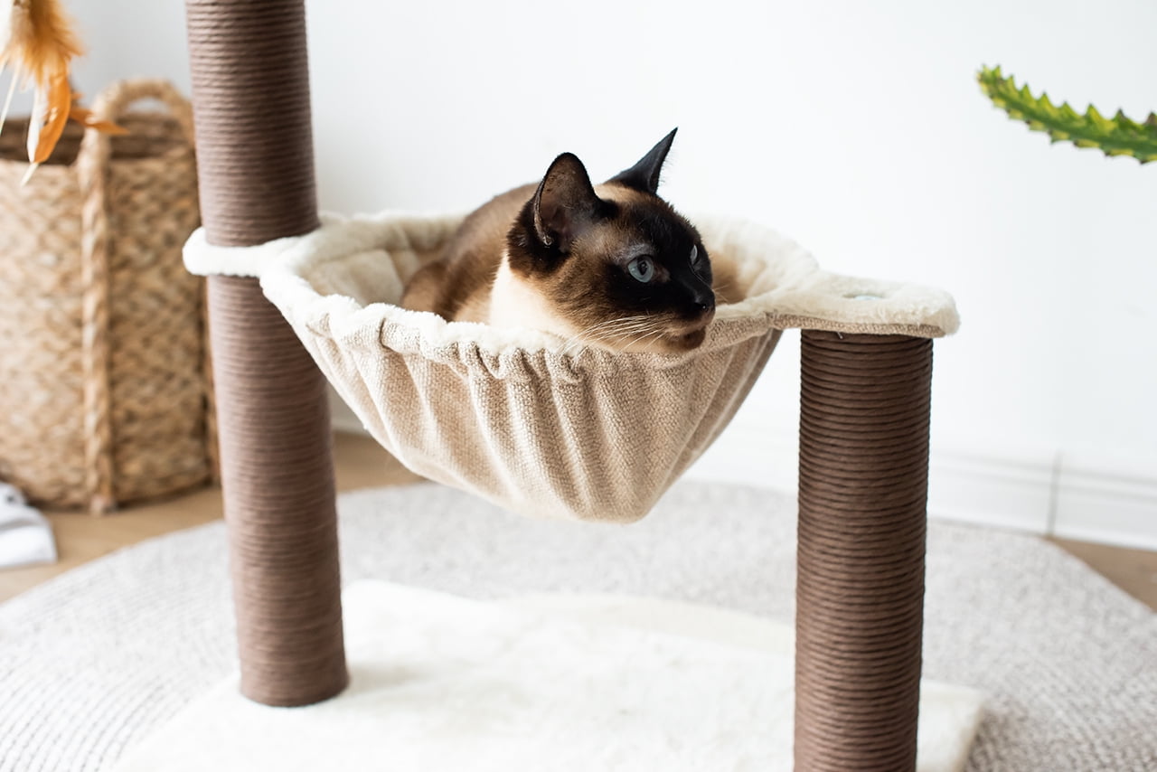 Beige 3-Level Cat Tree with Hammock & Scratching Post