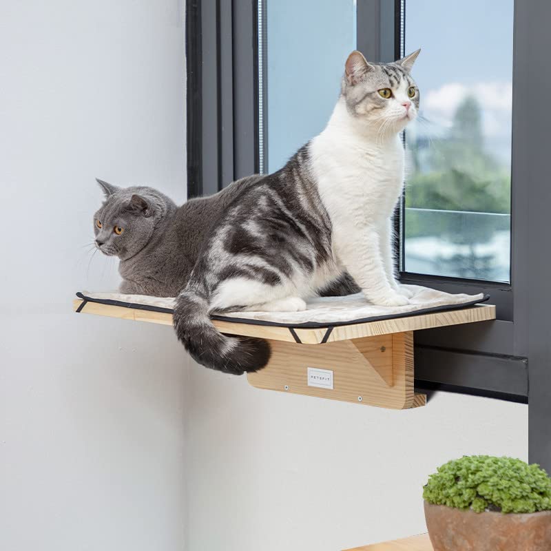 Double Cat Window Perch in Natural Wood