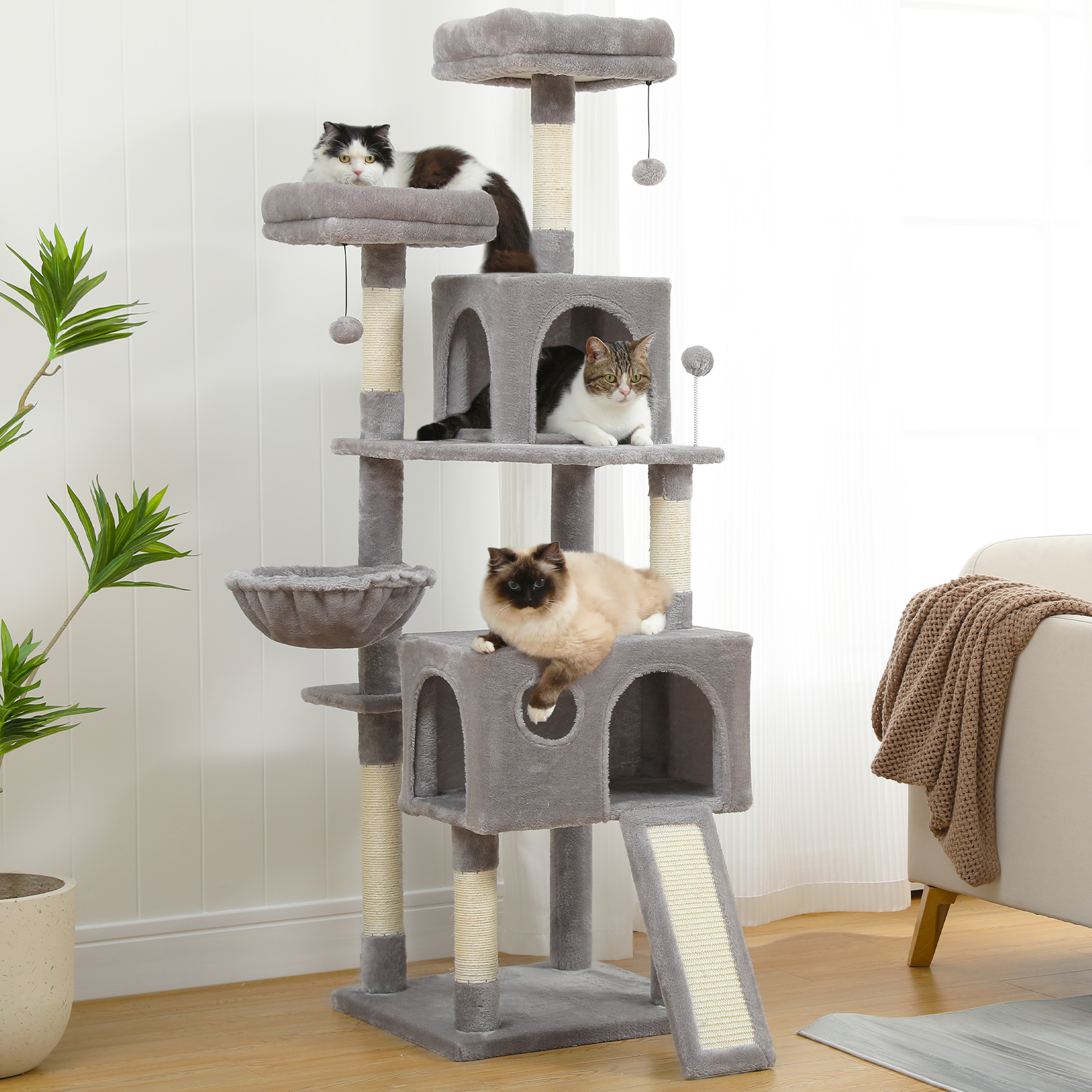 Speedy Pet Cube House with Scratcher & Ball