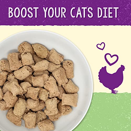 Stella's Digestive Boost Chicken Dinner for Cats