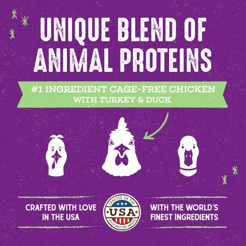 Stella & Chewy's Cage-Free Kibble for Cats