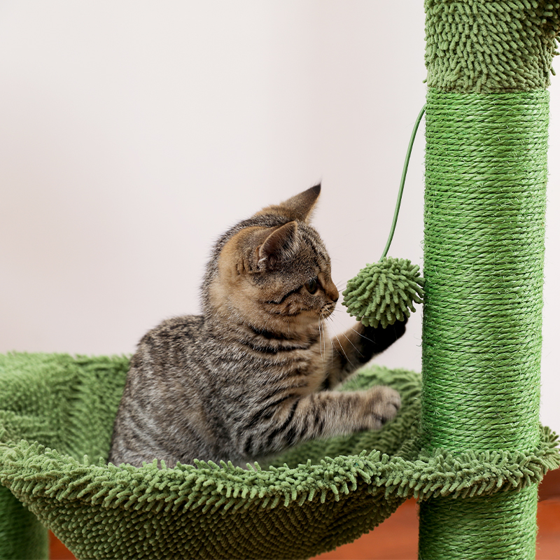 Cactus Cat Scratcher with Spacious Hammock