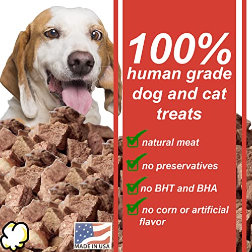 Raw Cat Treats | Single Ingredient | No Corn