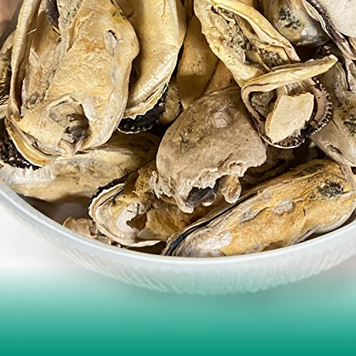 Freeze-dried Green-Lipped Mussel Cat Treats