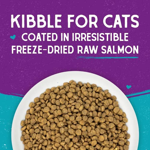 Stella & Chewy's Wild Salmon Kibble- 2.5lb