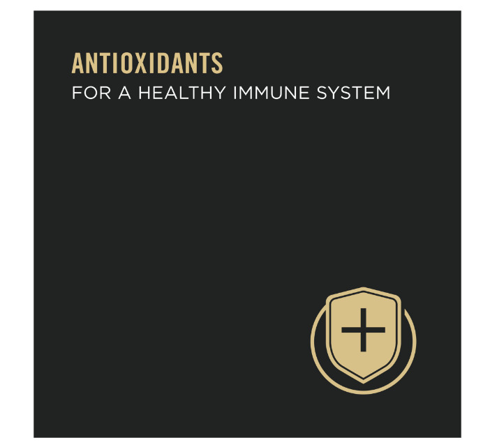 Essential Seafood Wet Cat Food Variety Pack