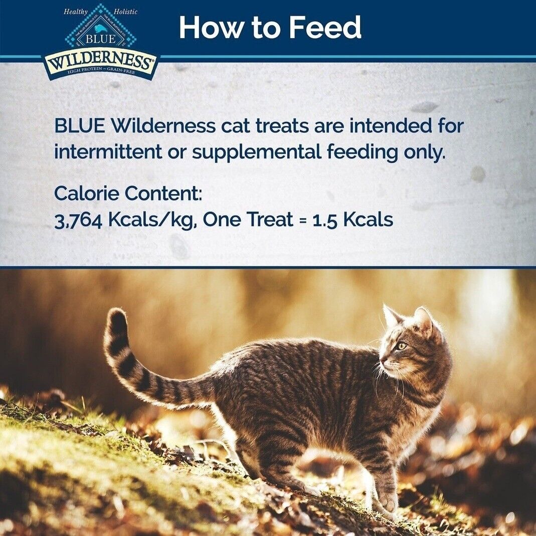 Blue Buffalo Soft Moist Cat Treats 24 oz