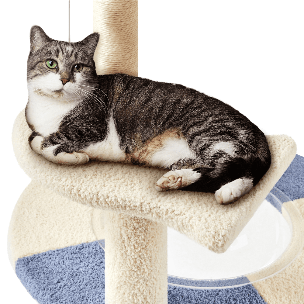 Ocean-themed Cat Tree with Perch & Sisal
