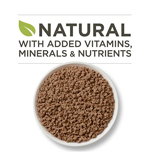 Indoor Ocean Whitefish & Rice Cat Food - 24 cans