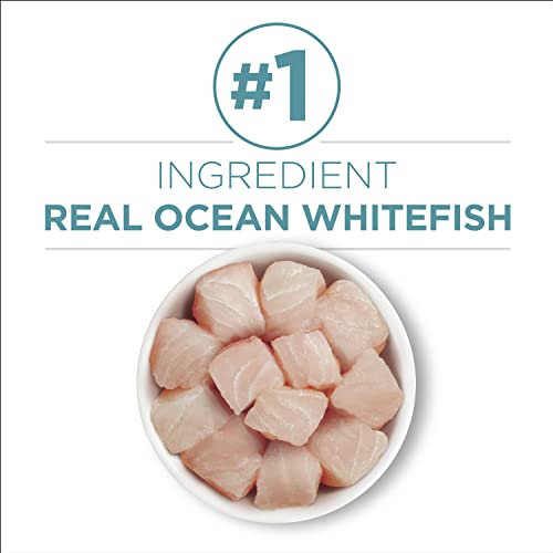 Indoor Ocean Whitefish & Rice Cat Food - 24 cans