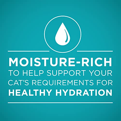 Indoor Ocean Whitefish & Rice Cat Food - 24 cans