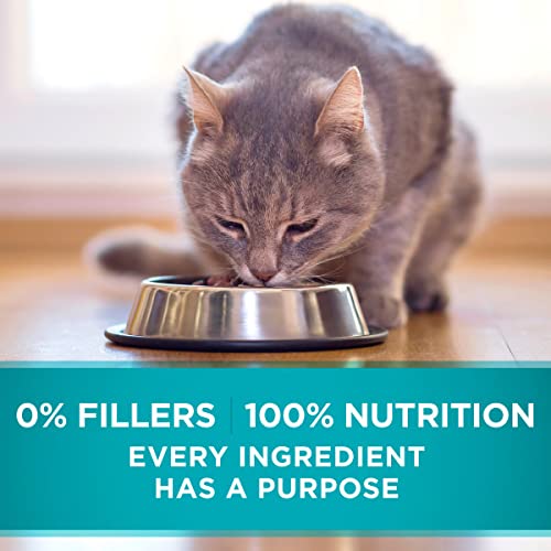 Indoor Ocean Whitefish & Rice Cat Food - 24 cans